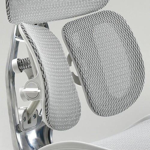 Sihoo Doro S300 "Gravity-Defying" Ergonomic Chair for Premium Comfort