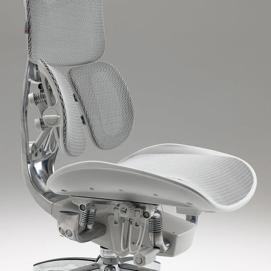 Sihoo Doro S300 "Gravity-Defying" Ergonomic Chair for Premium Comfort