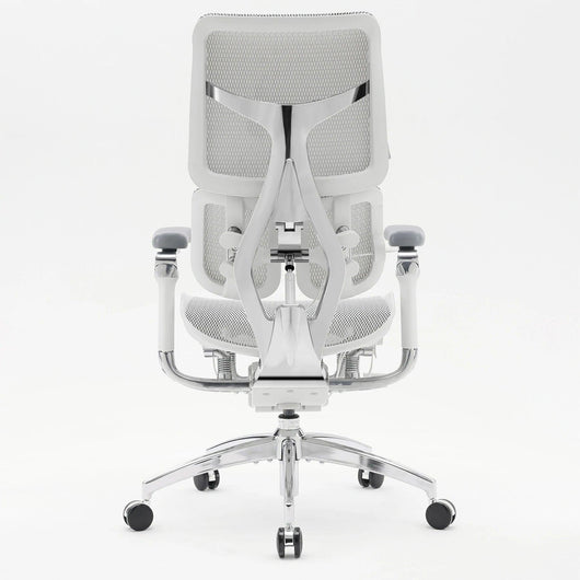 Sihoo Doro S300 "Gravity-Defying" Ergonomic Chair for Premium Comfort