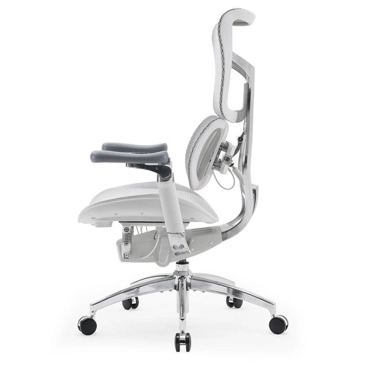 Sihoo Doro S300 "Gravity-Defying" Ergonomic Chair for Premium Comfort