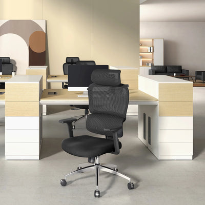Sihoo M56C Dual-Back Ergonomic Office Chair with Soft Cushion