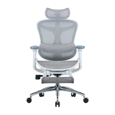 Sihoo C300 Ergonomic Office Chair with Advanced Back Support