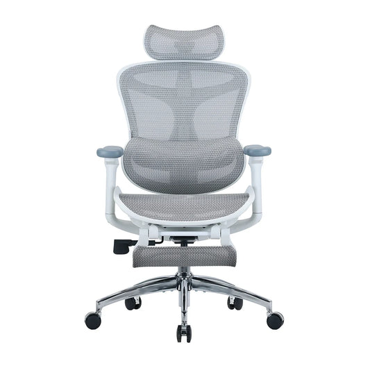 Sihoo C300 Ergonomic Office Chair with Advanced Back Support