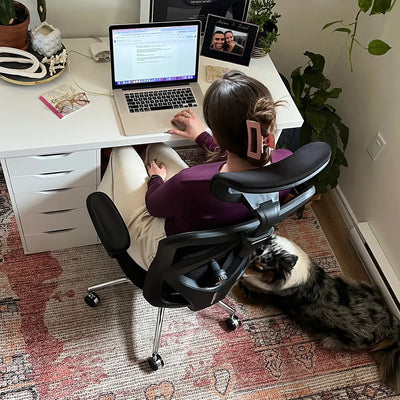 Sihoo M18 Ergonomic Office Chair with Soft Cushion & Spine Support
