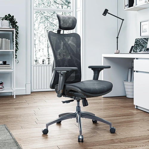 Sihoo M57 Ergonomic Office Chair with Breathable Mesh Cushion